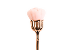Pinceau dépoussiérant Rose