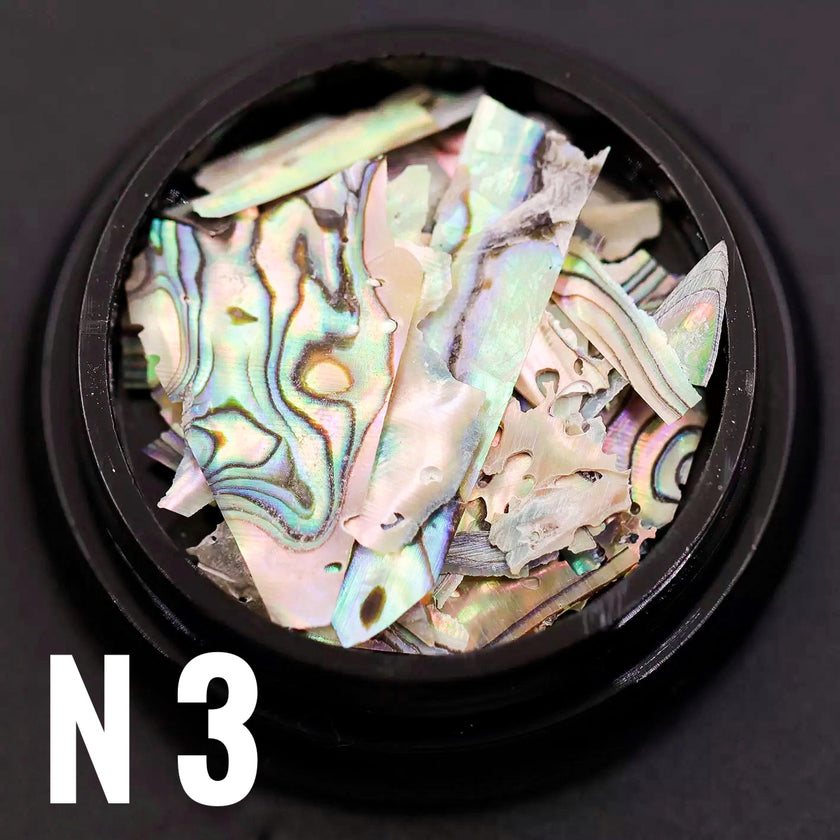 Fragment de coquille