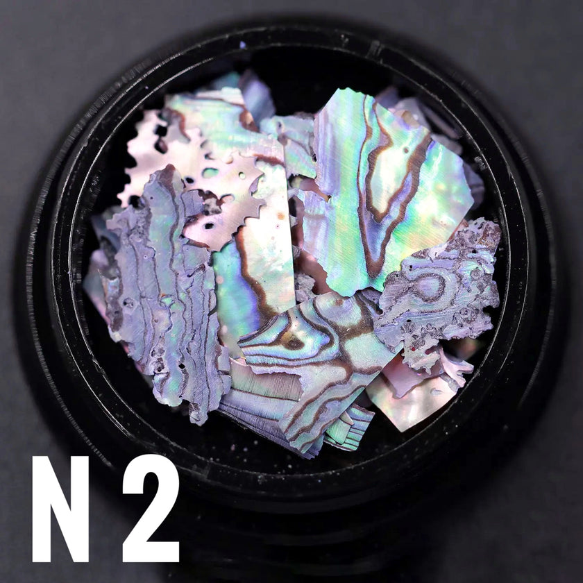 Fragment de coquille